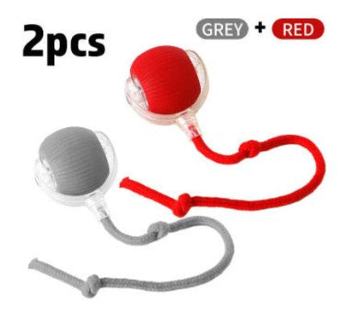 Interactive Cat Toy Ball Super Drive Cat Rolling Ball