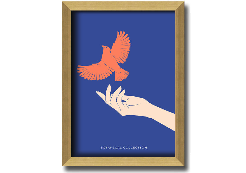 Dove From A Hand Flight