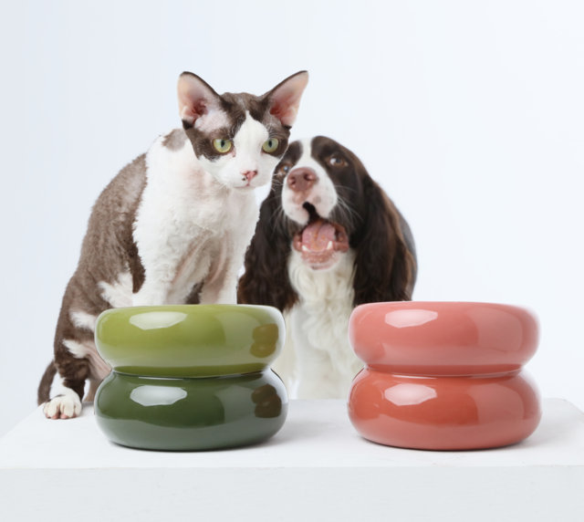 Soufflé Pet Bowl - Avocado Green - cavamart.com