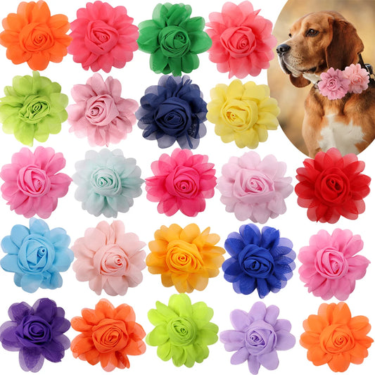 S4da9c5d9719647ee840711f93abc0a7bz