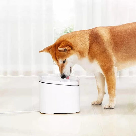 Dog & Cat Drinking Fountain