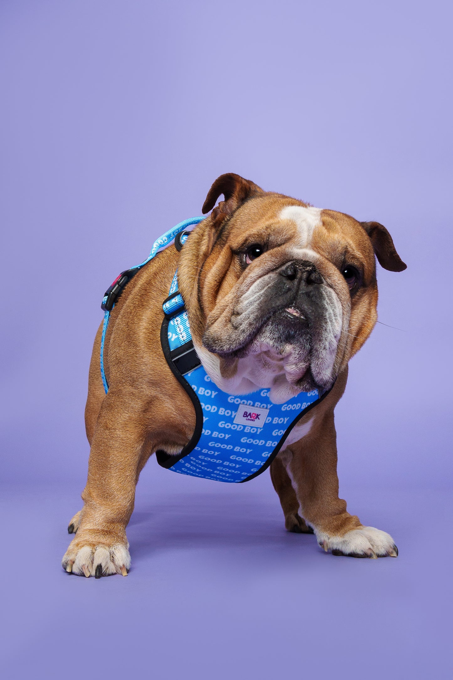 Good Boy Dog Harness