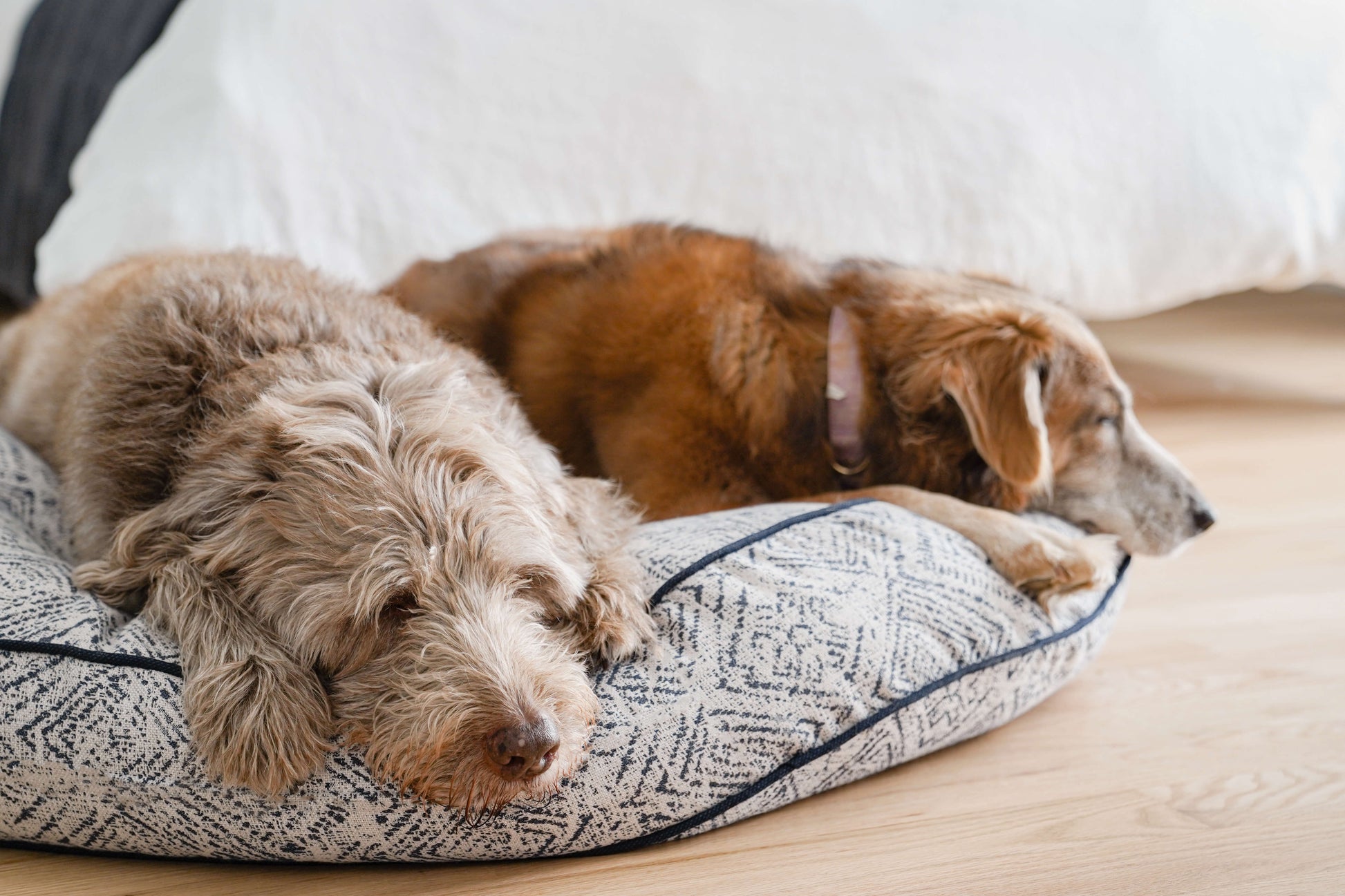 Round Pet Bed in Sapphire Spaniel - cavamart.com